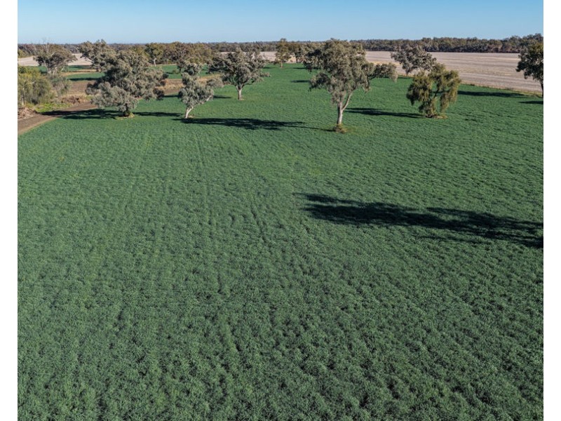 50 Boonery Road, Moree NSW 2400