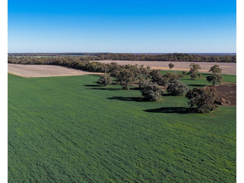 50 Boonery Road, Moree NSW 2400