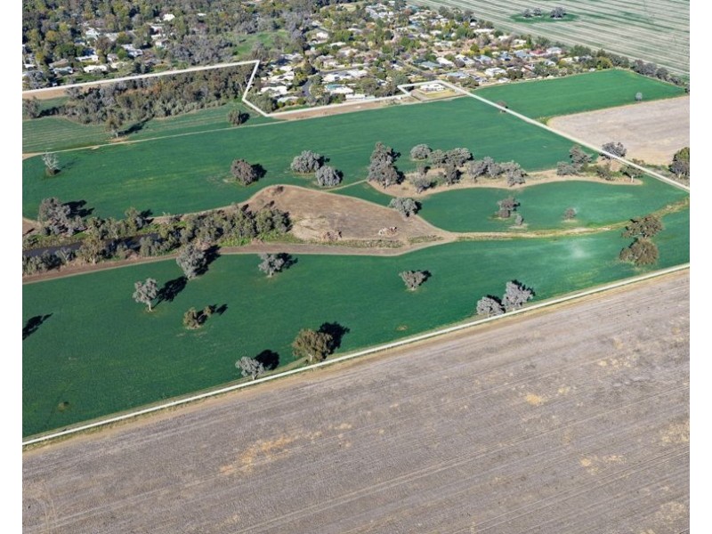 50 Boonery Road, Moree NSW 2400