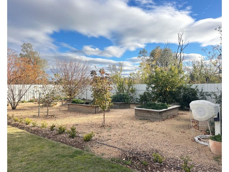 11 Carnarvon Hwy, Moree NSW 2400