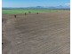Gurley NSW 2398