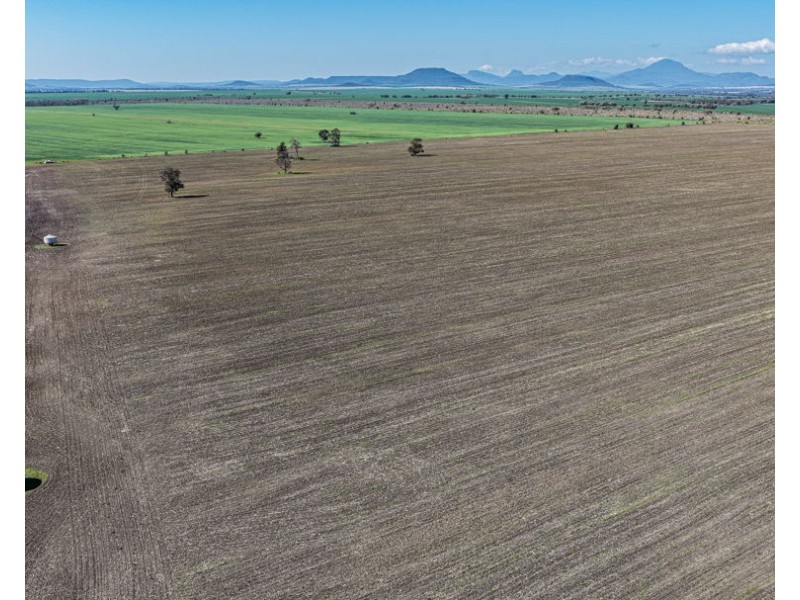 Gurley NSW 2398