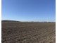 Gurley NSW 2398