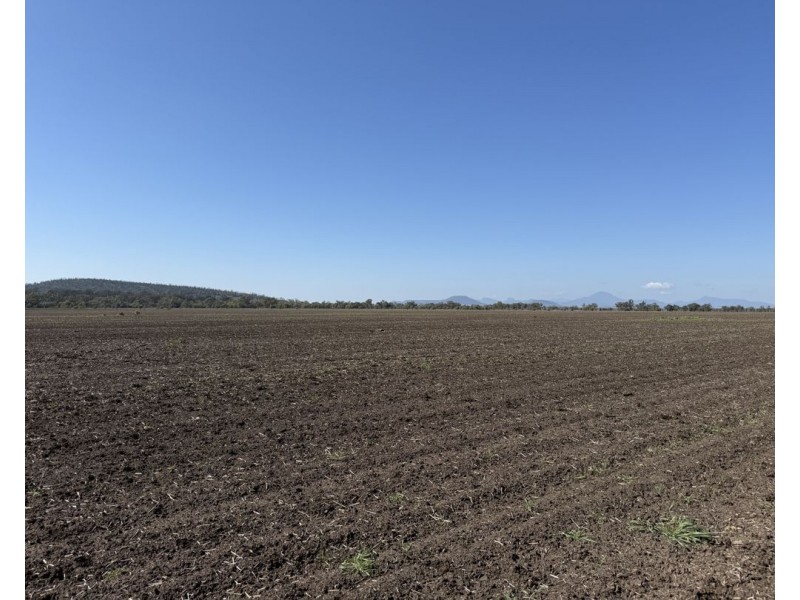 Gurley NSW 2398