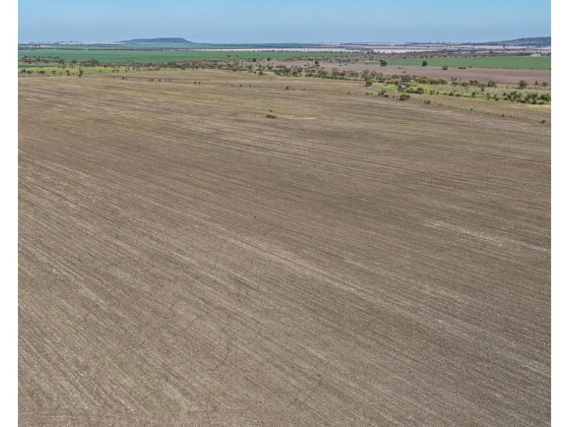 Gurley NSW 2398