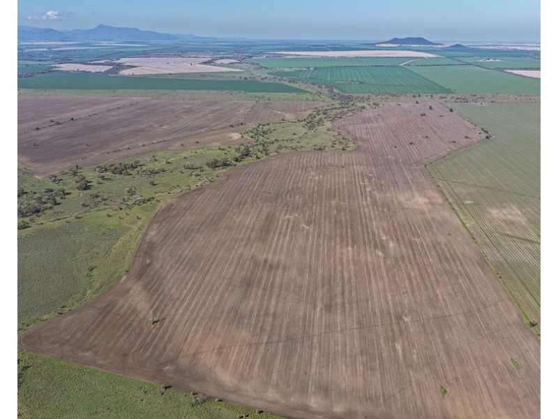 Gurley NSW 2398