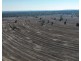 Gurley NSW 2398