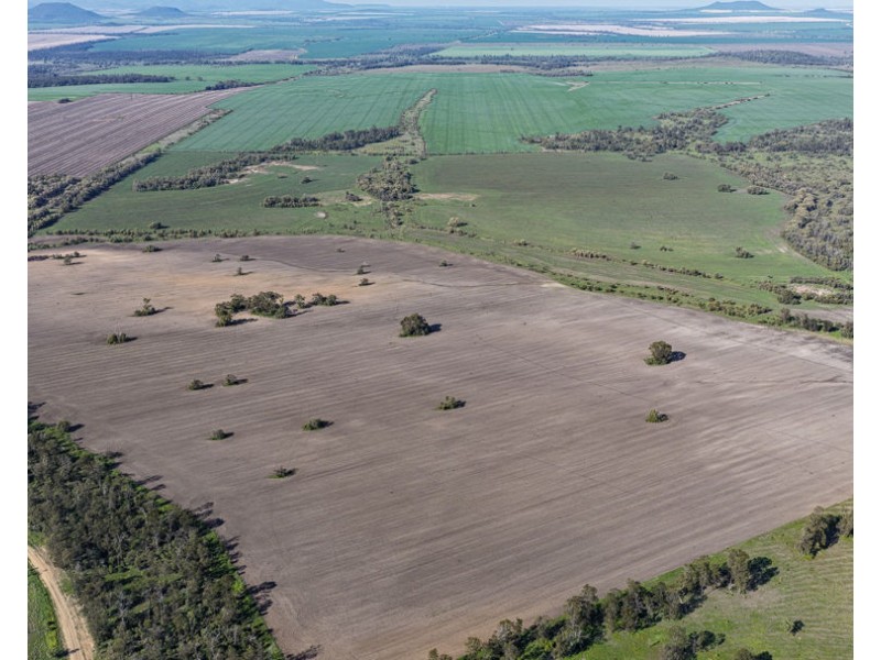 Gurley NSW 2398