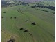 Gurley NSW 2398