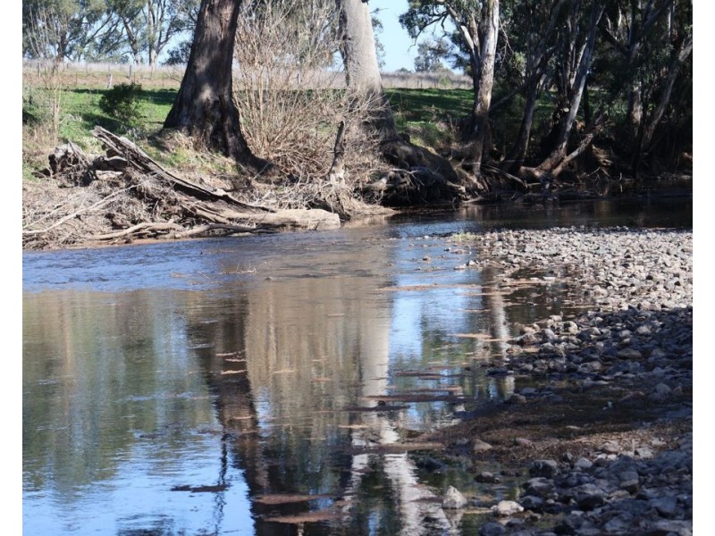 Renovo, Bingara NSW 2404