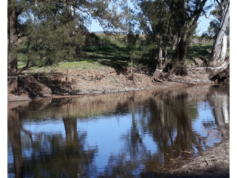 Renovo, Bingara NSW 2404