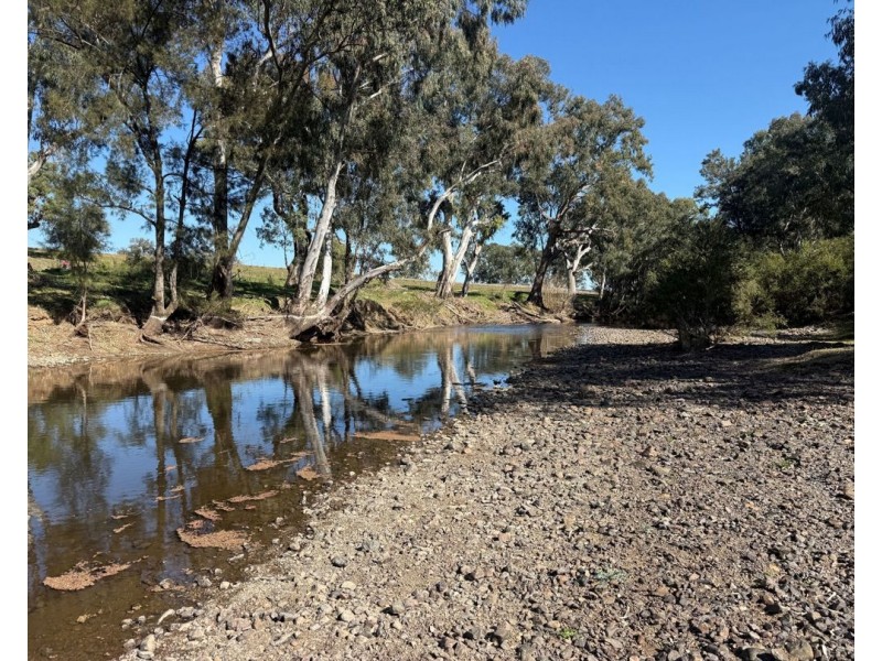 Renovo, Bingara NSW 2404