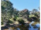 Renovo, Bingara NSW 2404