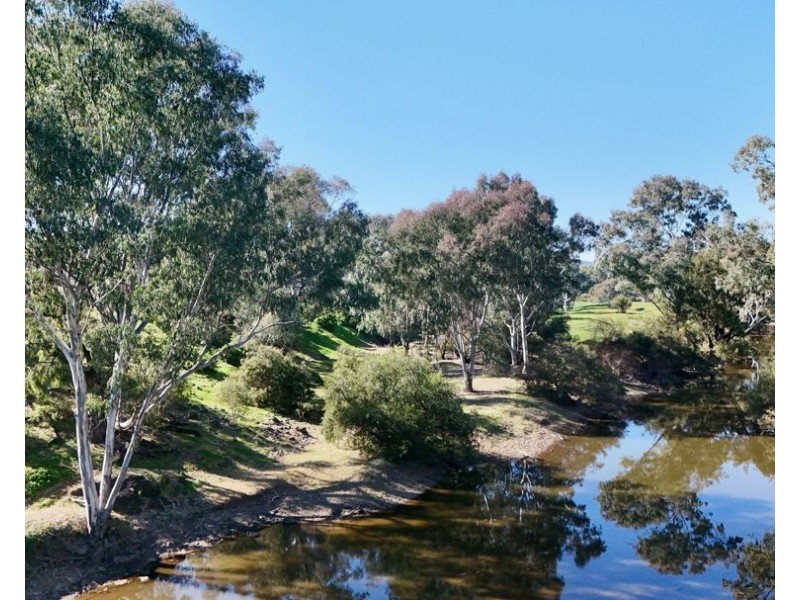 Renovo, Bingara NSW 2404