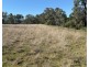 Renovo, Bingara NSW 2404