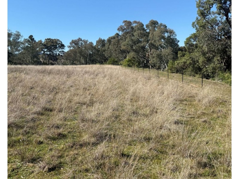 Renovo, Bingara NSW 2404