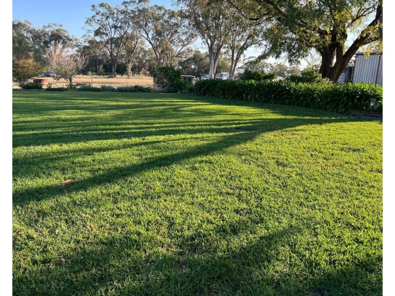 52 Cheecum Rd, Moree NSW 2400