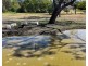 154 Bendygleet Road, Moree NSW 2400