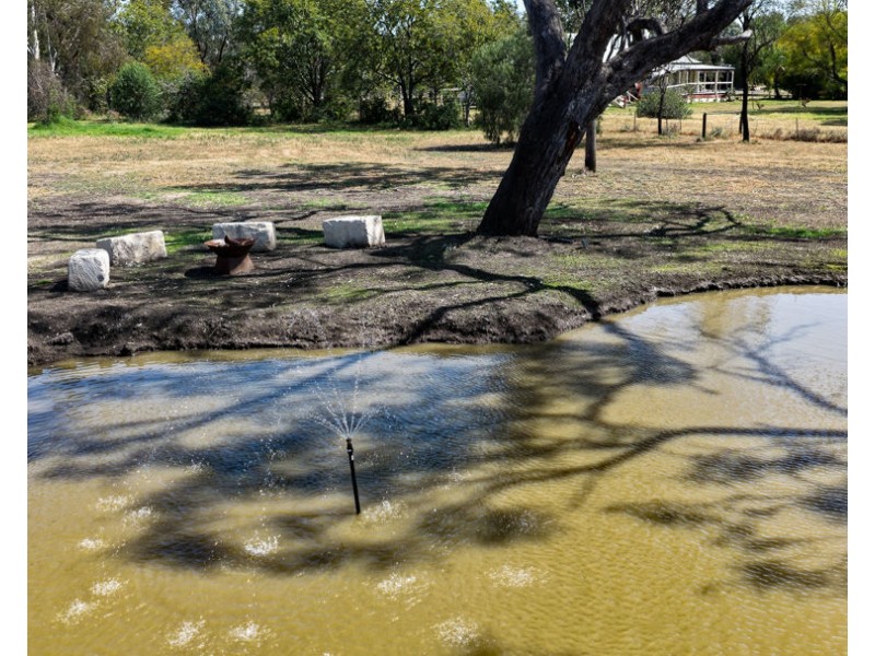 154 Bendygleet Road, Moree NSW 2400