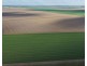 Auburn, Spring Plains NSW 2388