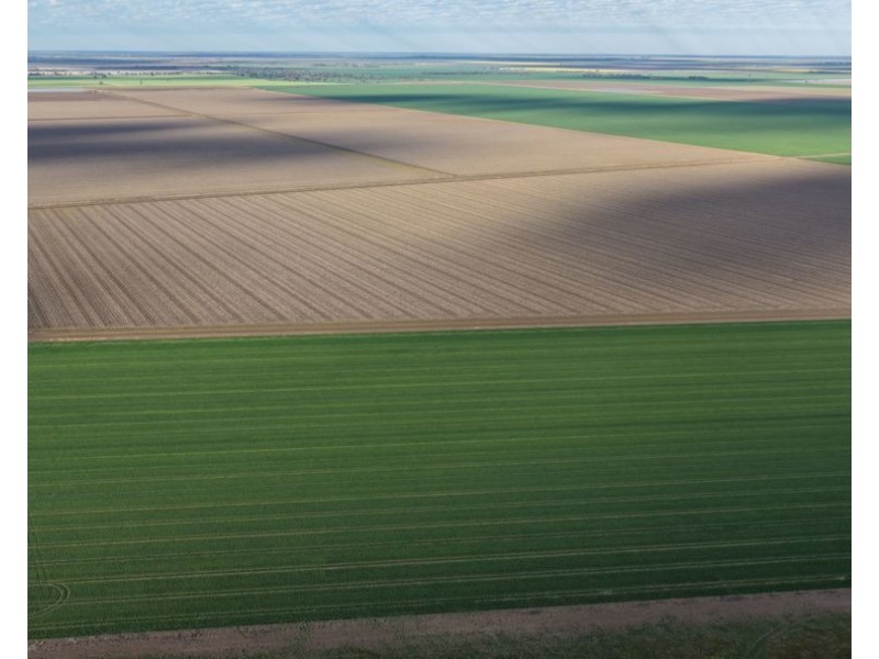 Auburn, Spring Plains NSW 2388
