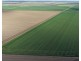 Auburn, Spring Plains NSW 2388