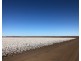 Auburn, Spring Plains NSW 2388