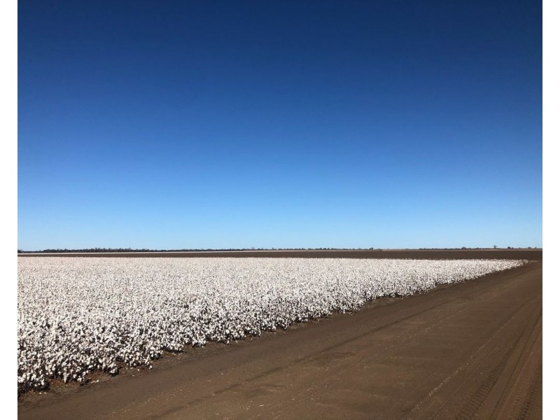 Auburn, Spring Plains NSW 2388