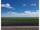 Auburn, Spring Plains NSW 2388