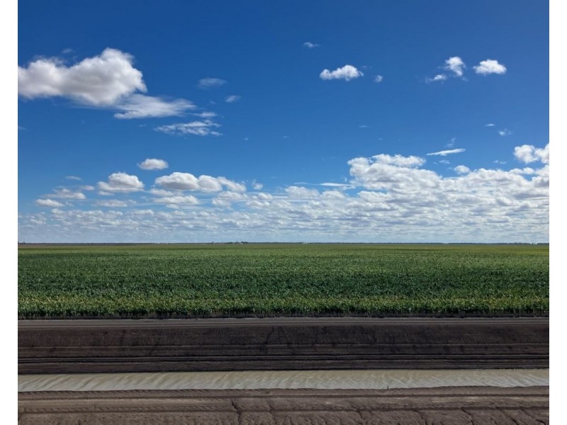 Auburn, Spring Plains NSW 2388