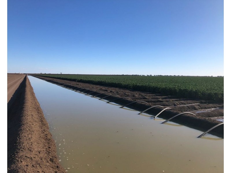 Auburn, Spring Plains NSW 2388