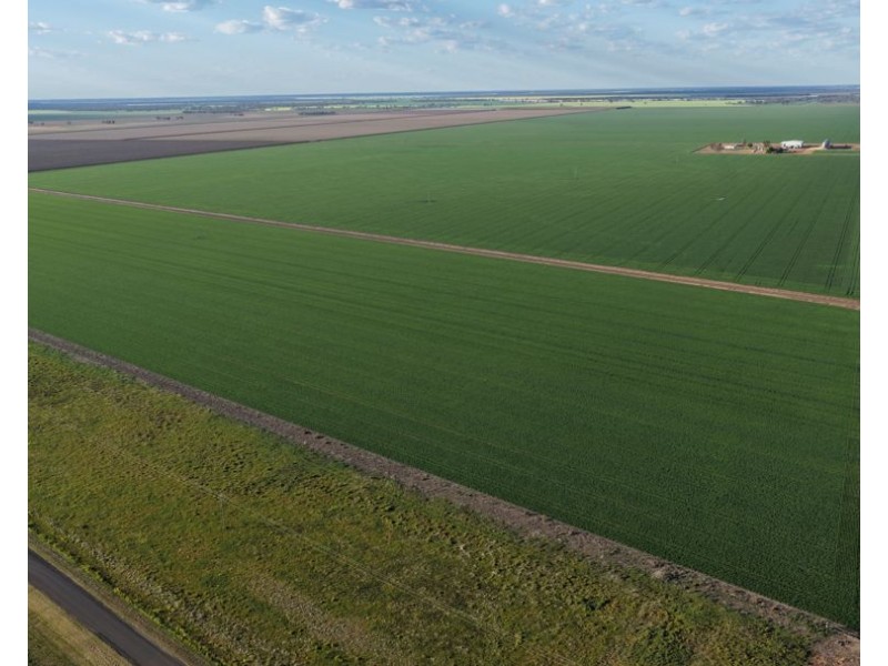 Auburn, Spring Plains NSW 2388