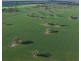 Auburn, Spring Plains NSW 2388