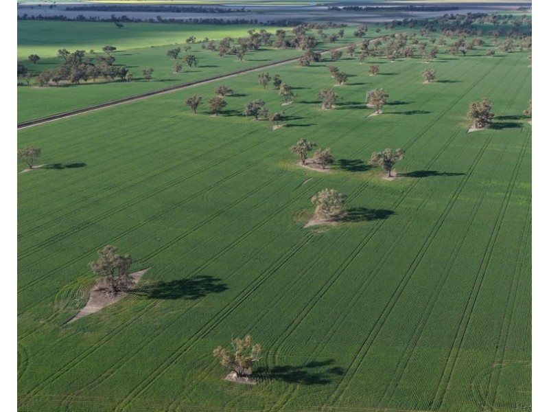 Auburn, Spring Plains NSW 2388