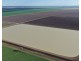 Auburn, Spring Plains NSW 2388