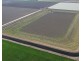 Auburn, Spring Plains NSW 2388
