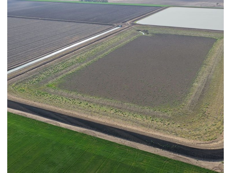 Auburn, Spring Plains NSW 2388
