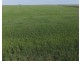 Auburn, Spring Plains NSW 2388
