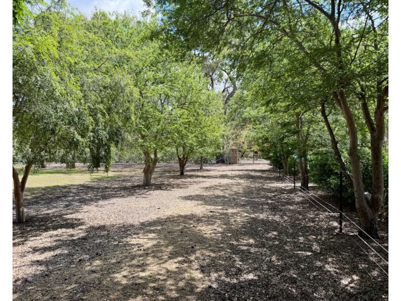 39 Bendygleet Road, Moree NSW 2400
