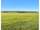 Binneguy Station, Biniguy NSW 2399