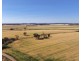 Binneguy Station, Biniguy NSW 2399
