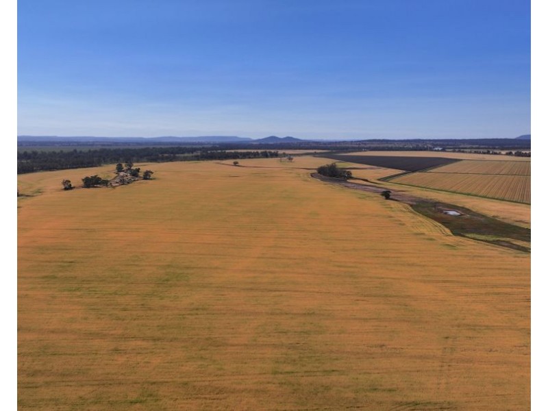 Binneguy Station, Biniguy NSW 2399