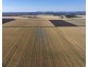Binneguy Station, Biniguy NSW 2399