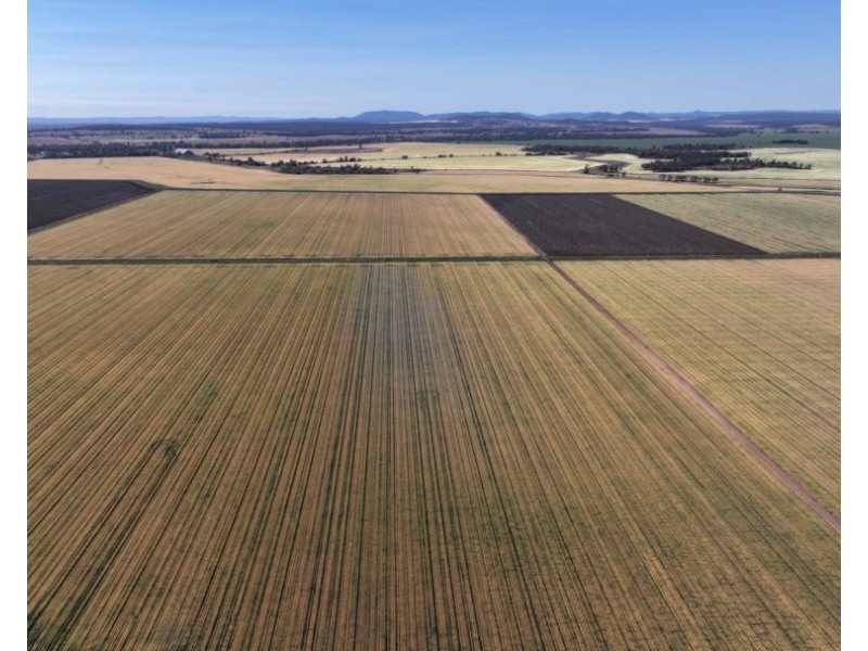Binneguy Station, Biniguy NSW 2399