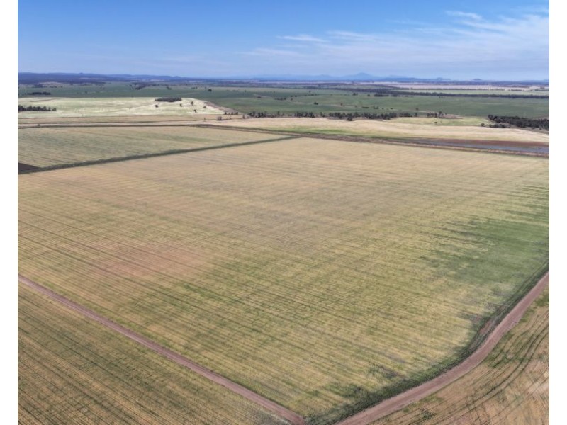 Binneguy Station, Biniguy NSW 2399