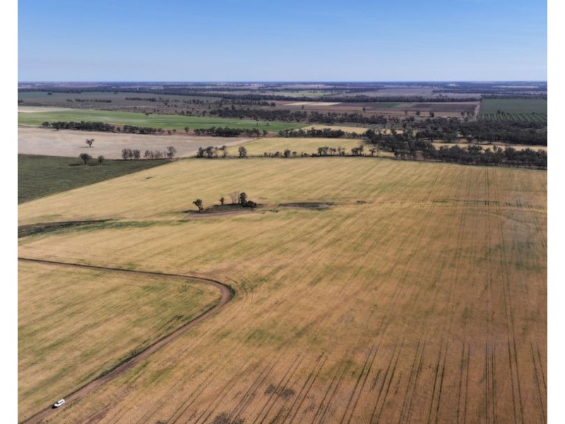 Binneguy Station, Biniguy NSW 2399