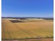 Binneguy Station, Biniguy NSW 2399