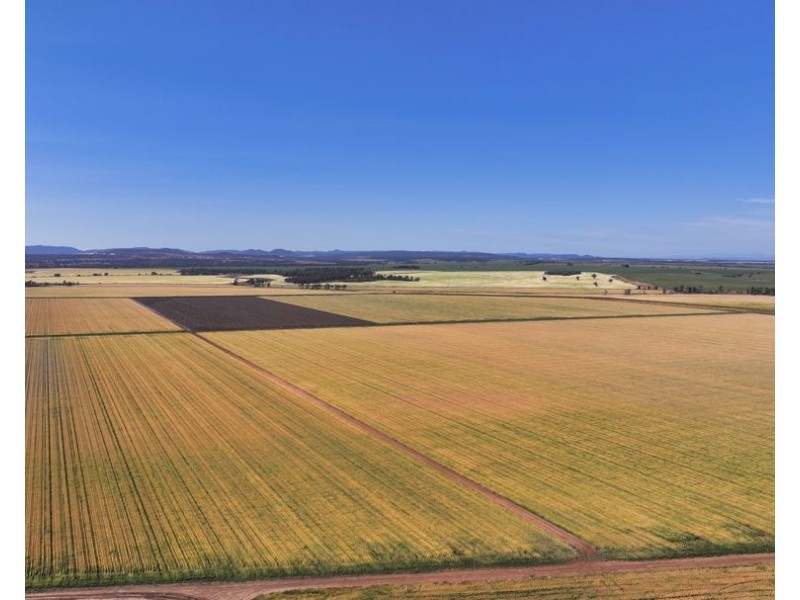 Binneguy Station, Biniguy NSW 2399