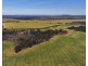 Binneguy Station, Biniguy NSW 2399