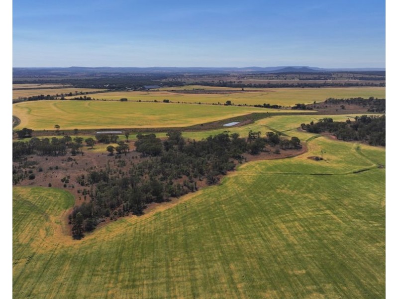 Binneguy Station, Biniguy NSW 2399